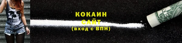 дживик Верхний Тагил