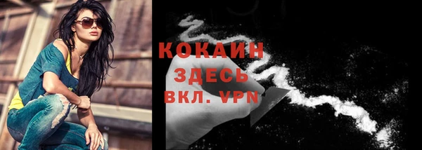 дживик Верхний Тагил