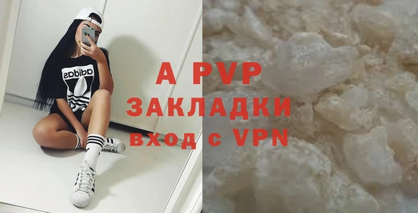 стаф Волоколамск
