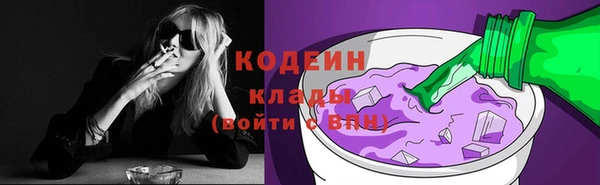 дживик Верхний Тагил