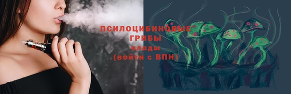 дживик Верхний Тагил