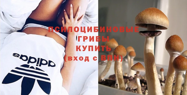 стаф Волоколамск