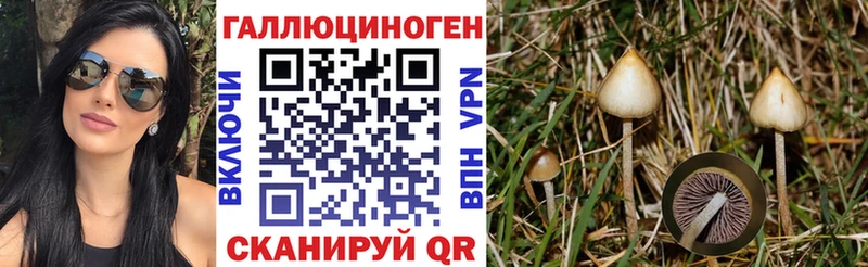Галлюциногенные грибы GOLDEN TEACHER  Курган 